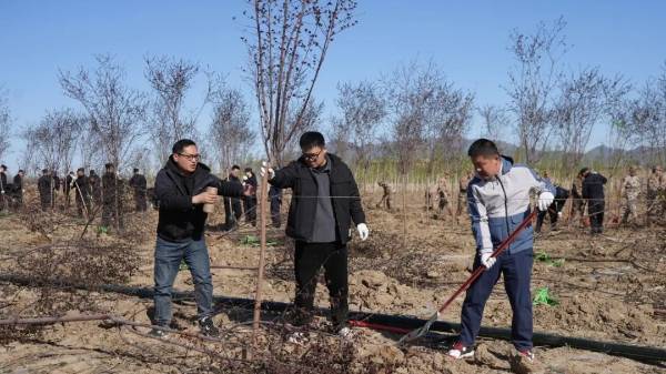 1745388213931966.jpg 4.jpg