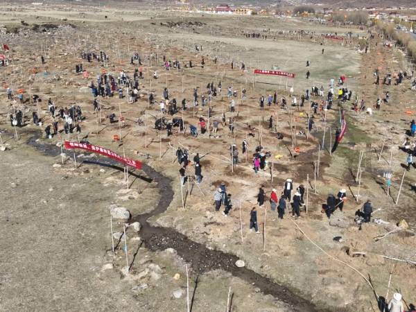 1745388404463818.jpg 6 (1).jpg