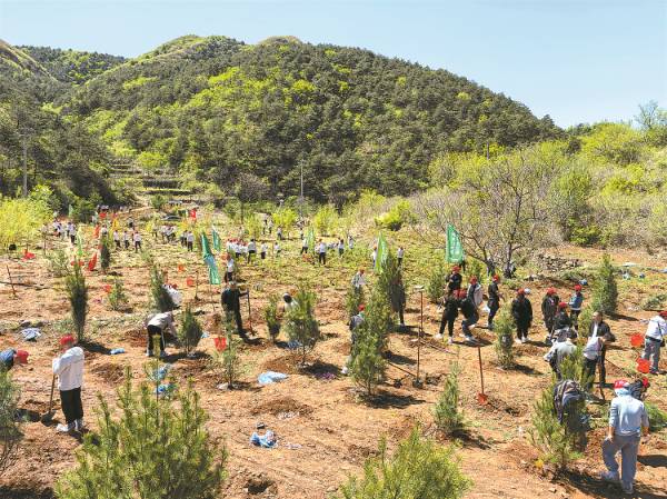 1745472784494641.jpg 240633155shj (1).jpg