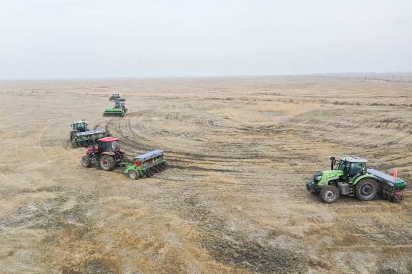 1745473231190155.jpg 1.jpg