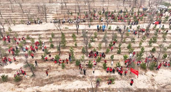 1745473340565908.png 2.png