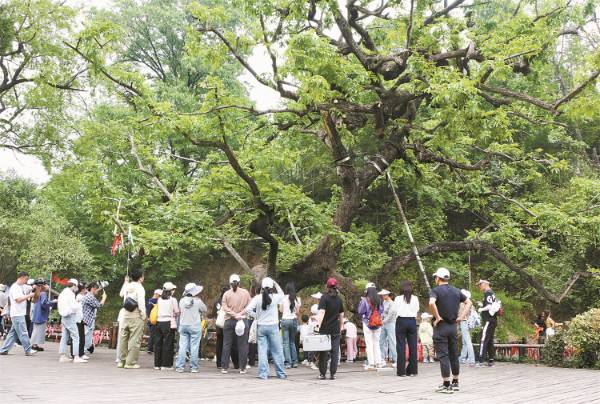 1745473406554009.jpg 3.jpg