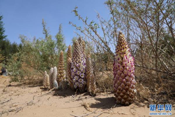 1745473706609841.png 6.png