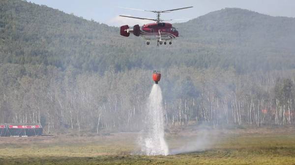 1745473925161668.jpg 10.jpg