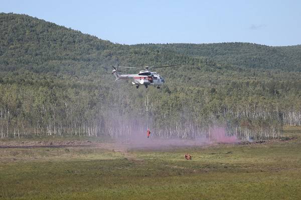 1745473931134538.jpg 11.jpg