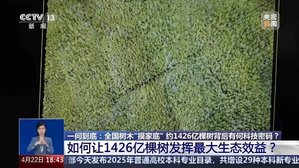 1745474580520688.jpg 9.jpg