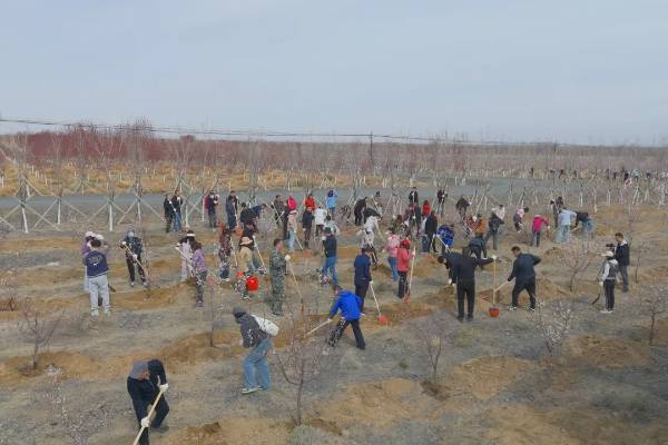 1745476664692950.jpg 1 (1).jpg