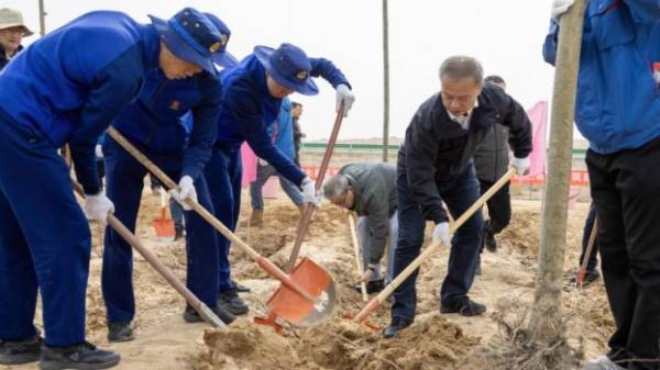 1745477218410265.jpg 12.jpg