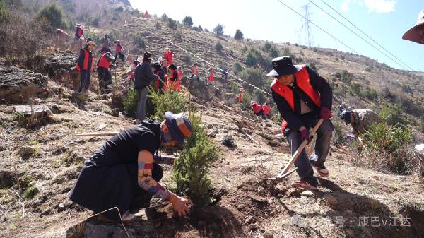 1745477401985586.jpg 14.jpg