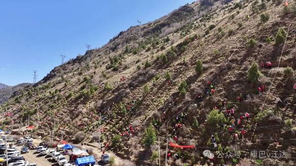 1745477410643507.jpg 15.jpg