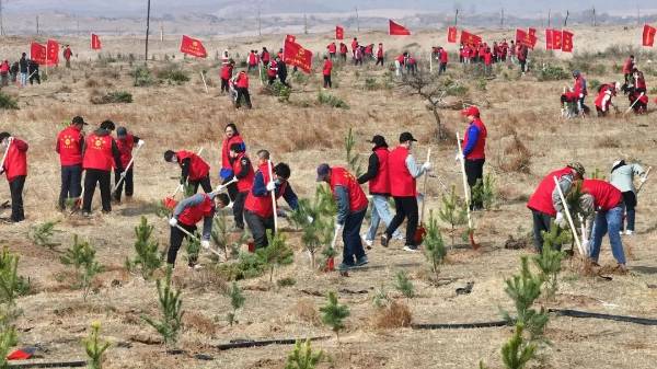 1745550725131017.jpg 11.jpg