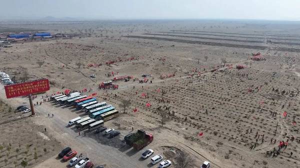 1745550733135823.jpg 12.jpg