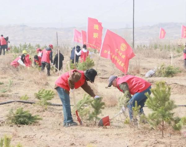 1745550740277642.jpg 13.jpg