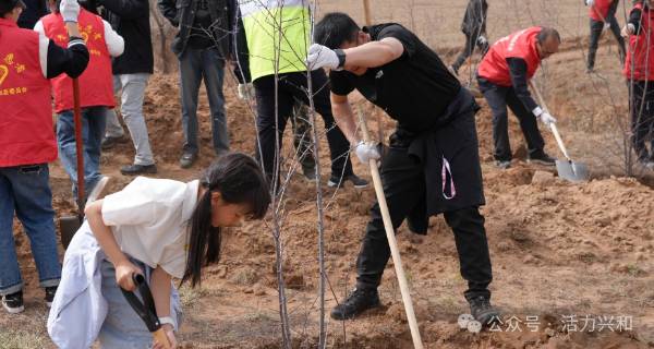 1745559471747915.jpg 1.jpg