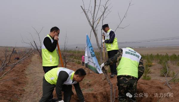 1745559477686732.jpg 2.jpg