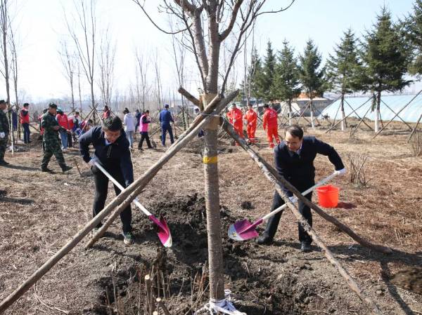 1745559670512555.jpg 3.jpg