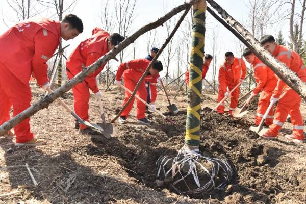 1745559724397933.jpg 6.jpg