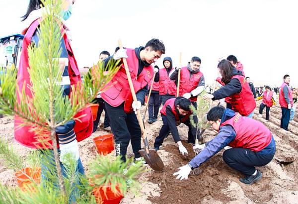 1745560338711073.jpg 10.jpg