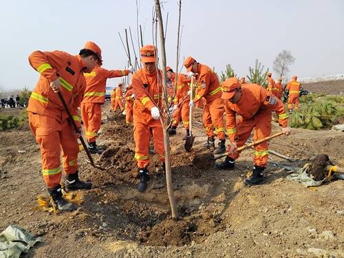 1745560622516462.jpg 13.jpg