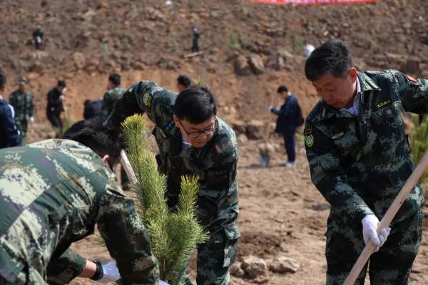 1745560864313673.jpg 15.jpg