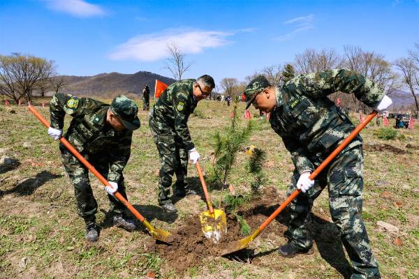 1745560872791353.jpg 16.jpg