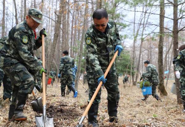 1745560887119393.jpg 17.jpg