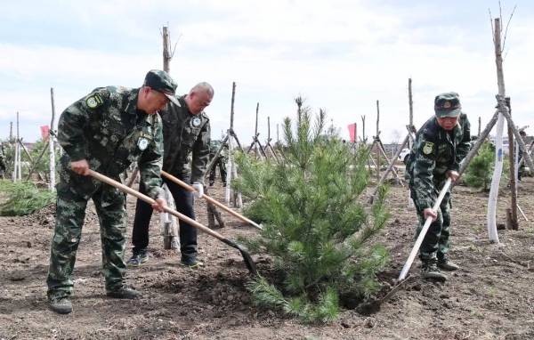 1745561237639023.jpg 1.jpg