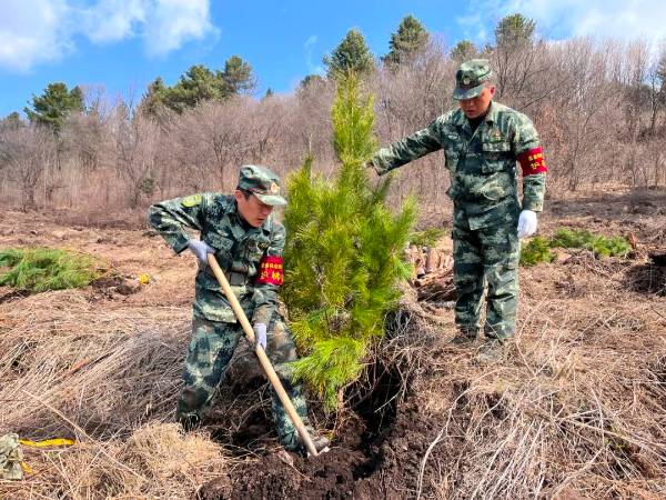 1745561240924643.jpg 2.jpg