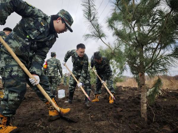 1745561254705332.jpg 4.jpg