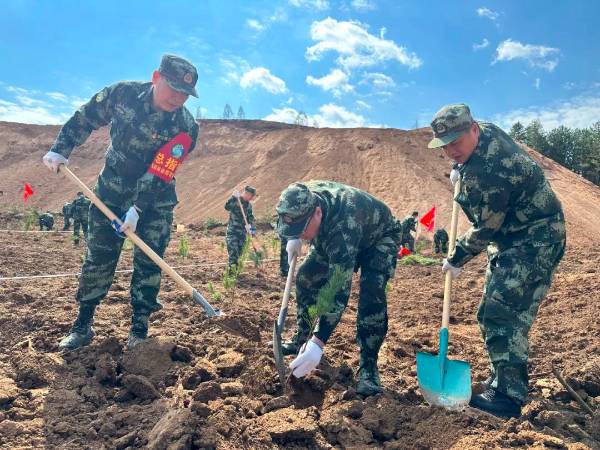 1745561267929789.jpg 5.jpg