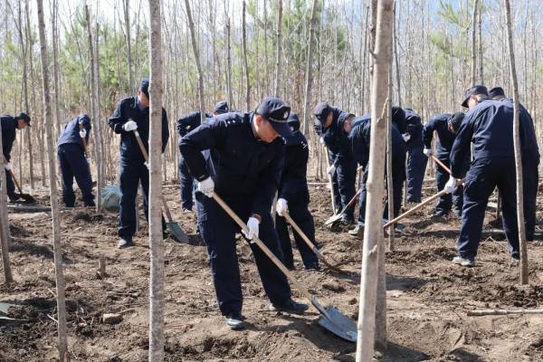 1745561280587128.jpg 7.jpg