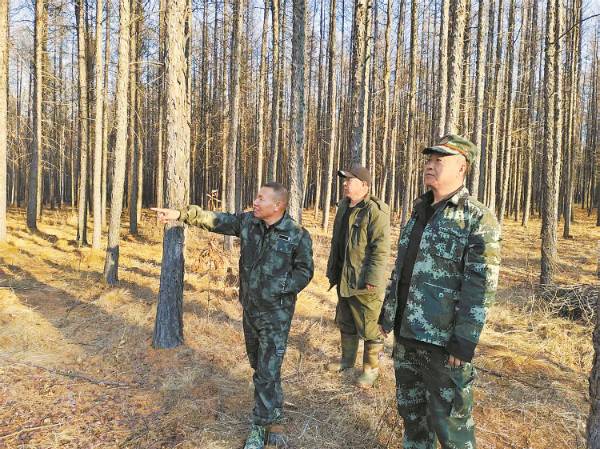 1745570273718406.jpg 3 (1).jpg