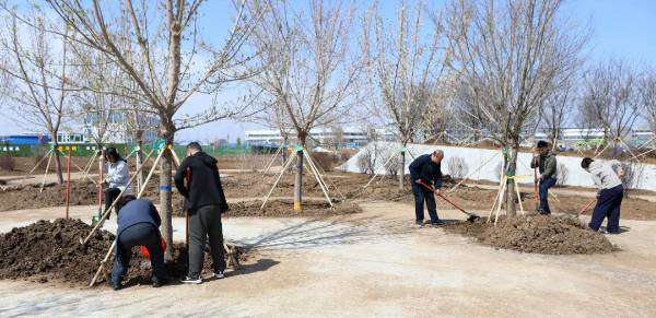 1745717938914747.jpg 1 (1).jpg