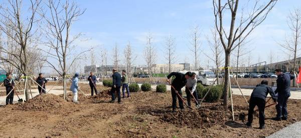 1745717947511014.jpg 2 (1).jpg