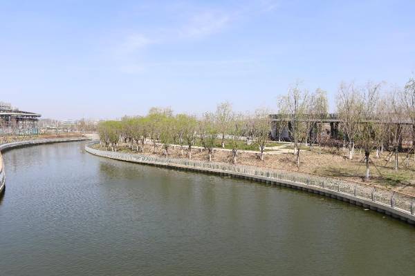 1745717956278157.jpg 3 (1).jpg