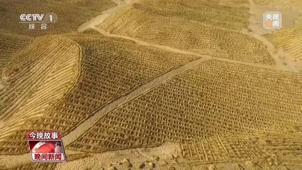 1745742085606452.jpg 5.jpg