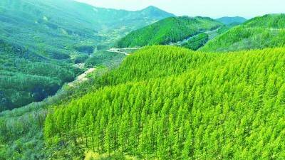 1745806331465106.jpg 1 (1).jpg