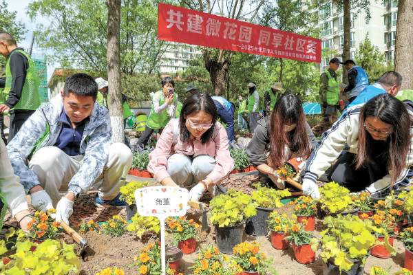 1745807175693843.jpg 2 (1).jpg