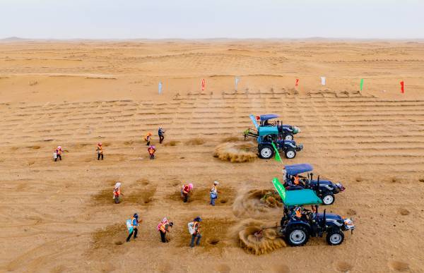 1745807567637847.jpg 1 (1).jpg