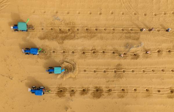 1745807575854073.jpg 2 (1).jpg