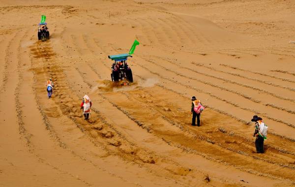 1745807626347161.jpg 3 (1).jpg