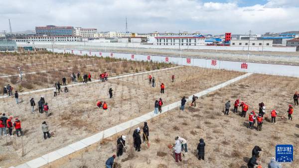 1745807998574553.jpg 1.jpg