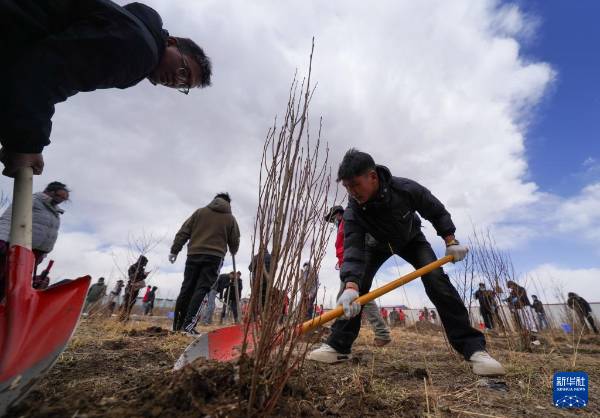 1745808012324834.jpg 2.jpg