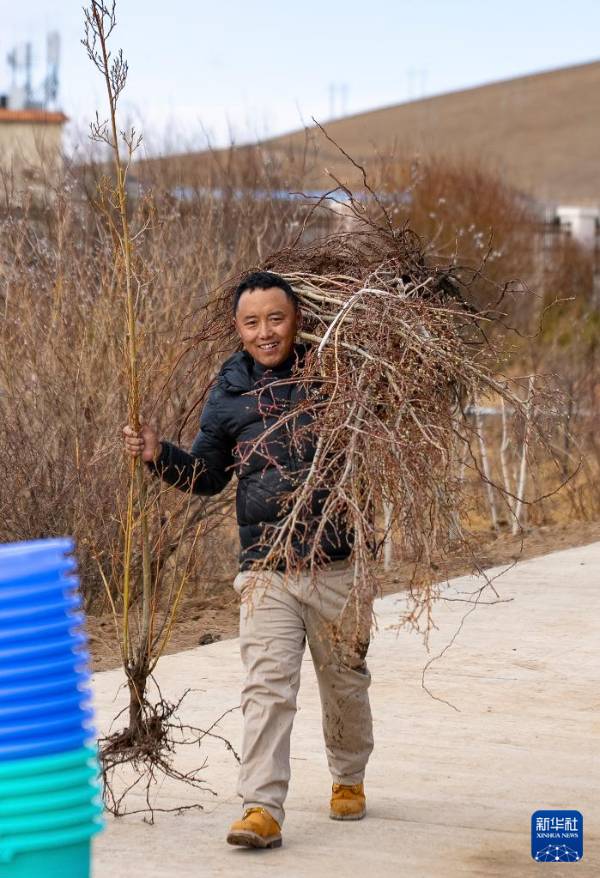 1745808039440145.jpg 3.jpg