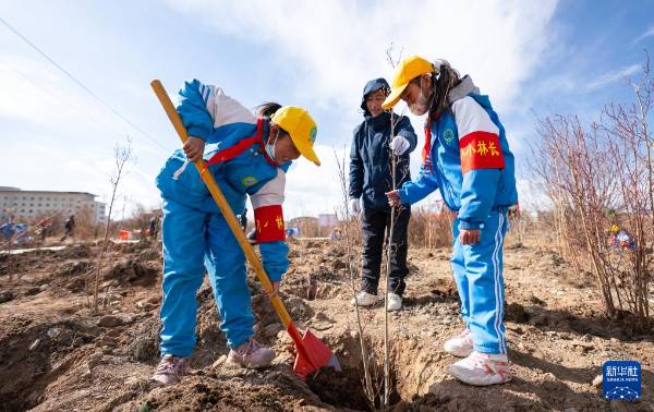 1745808049155204.jpg 4.jpg