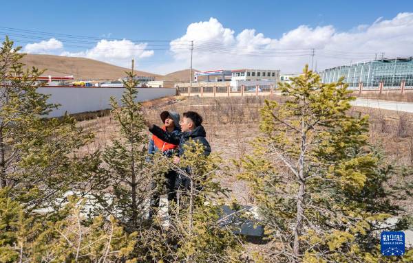 1745808095892642.jpg 8.jpg