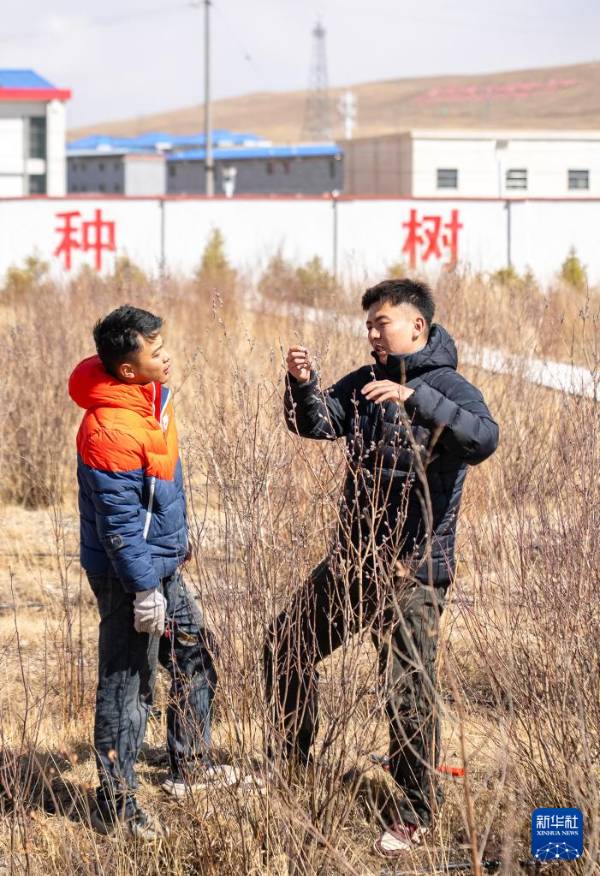 1745808104194884.jpg 9.jpg