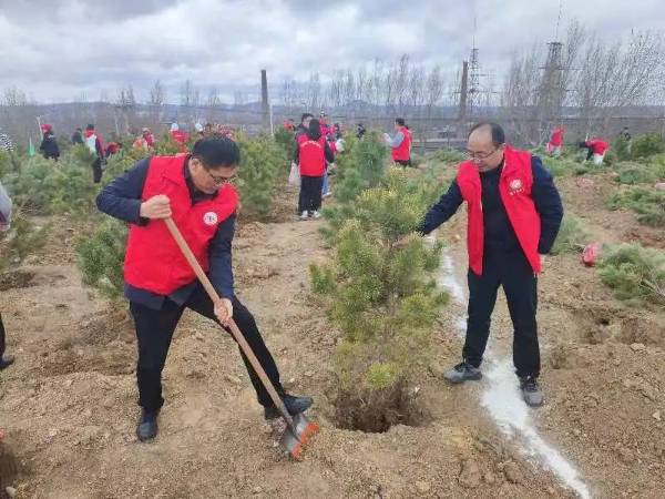 1745818044337641.jpg 1 (1).jpg