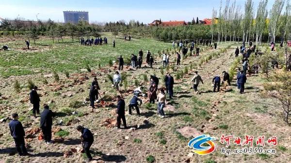 1745818365255062.jpg 2.jpg