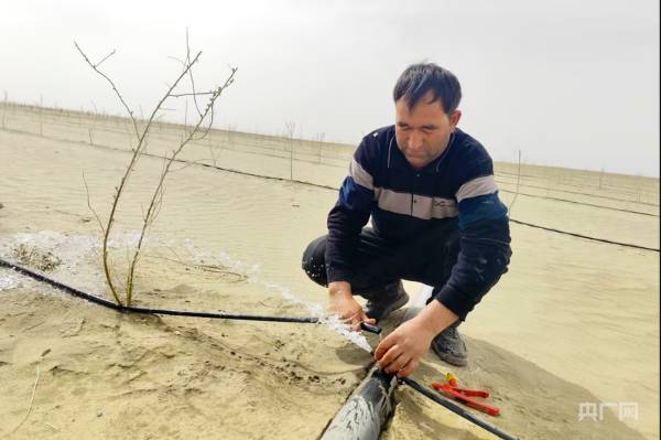 1745818905240471.png 7.png